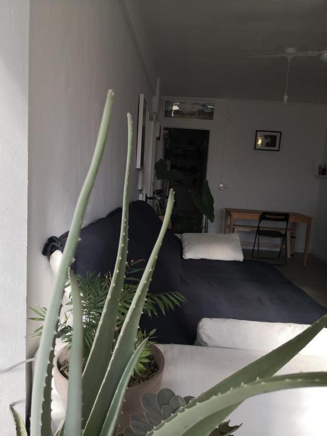 My Quiet House Apartment Málaga Exterior foto